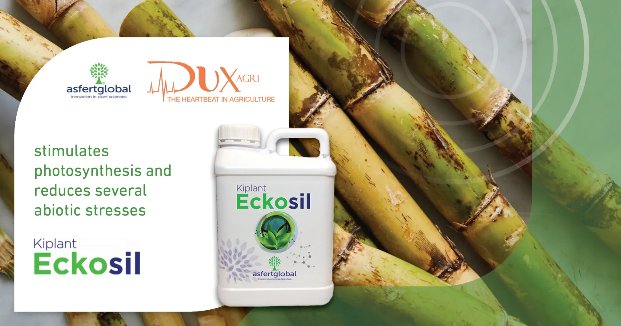 Eckosil | DuxAgri