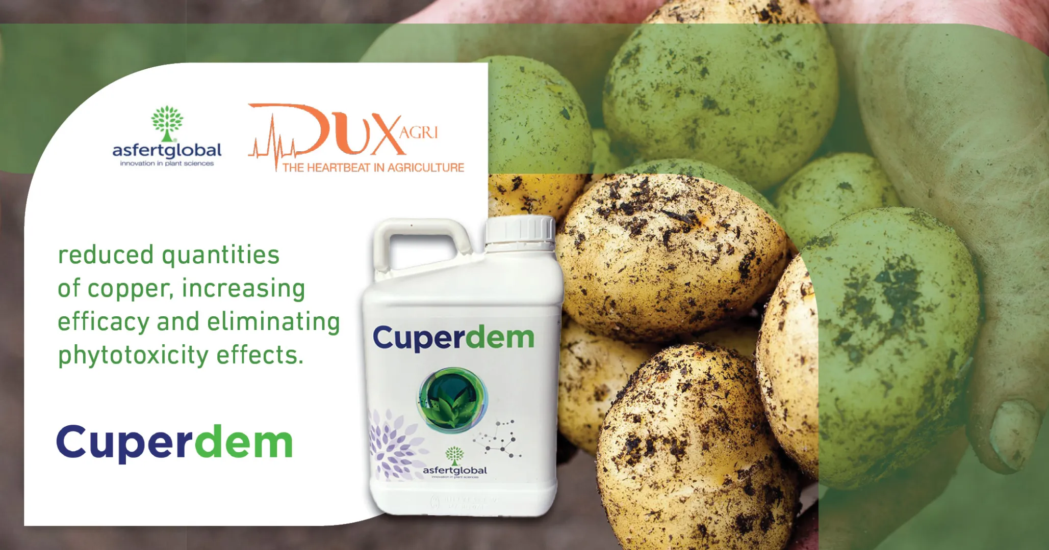 Cuperdem | DuxAgri