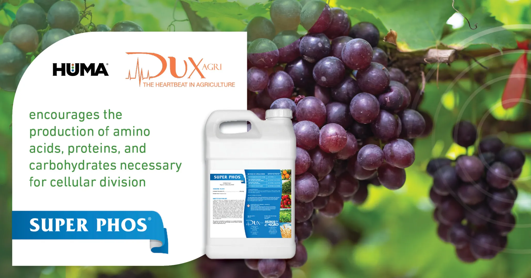 Super Phos® | DuxAgri
