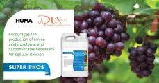 Super Phos® | DuxAgri