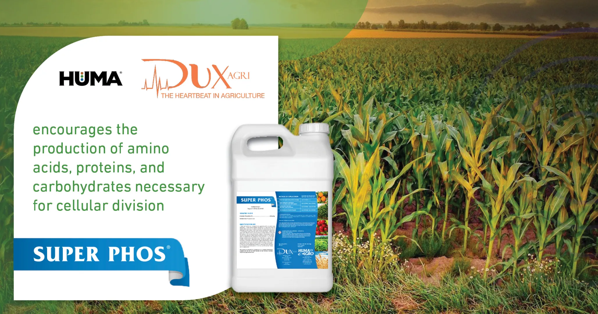 Super Phos® | DuxAgri