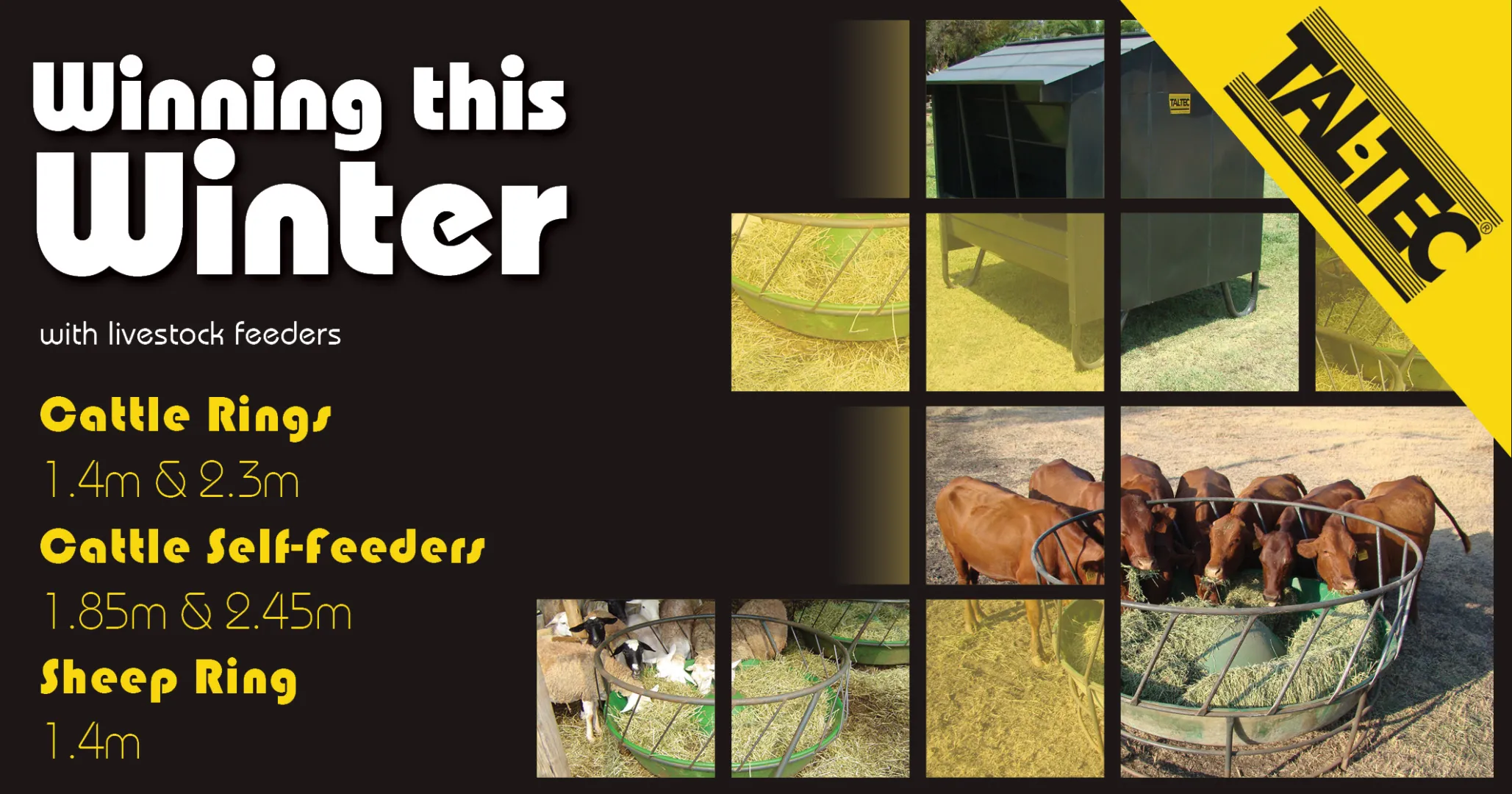 Winning this winter! | Cattle Ring Feeder | Cattle &amp; Sheep Ring Feeder | Tal-Tec