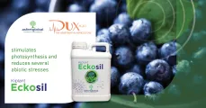 Eckosil | DuxAgri