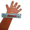 Gloves Sensitive Orange| Artificial insemination | Four Lakes