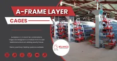 A – Frame layer cages | Reliance Poultry Equipment