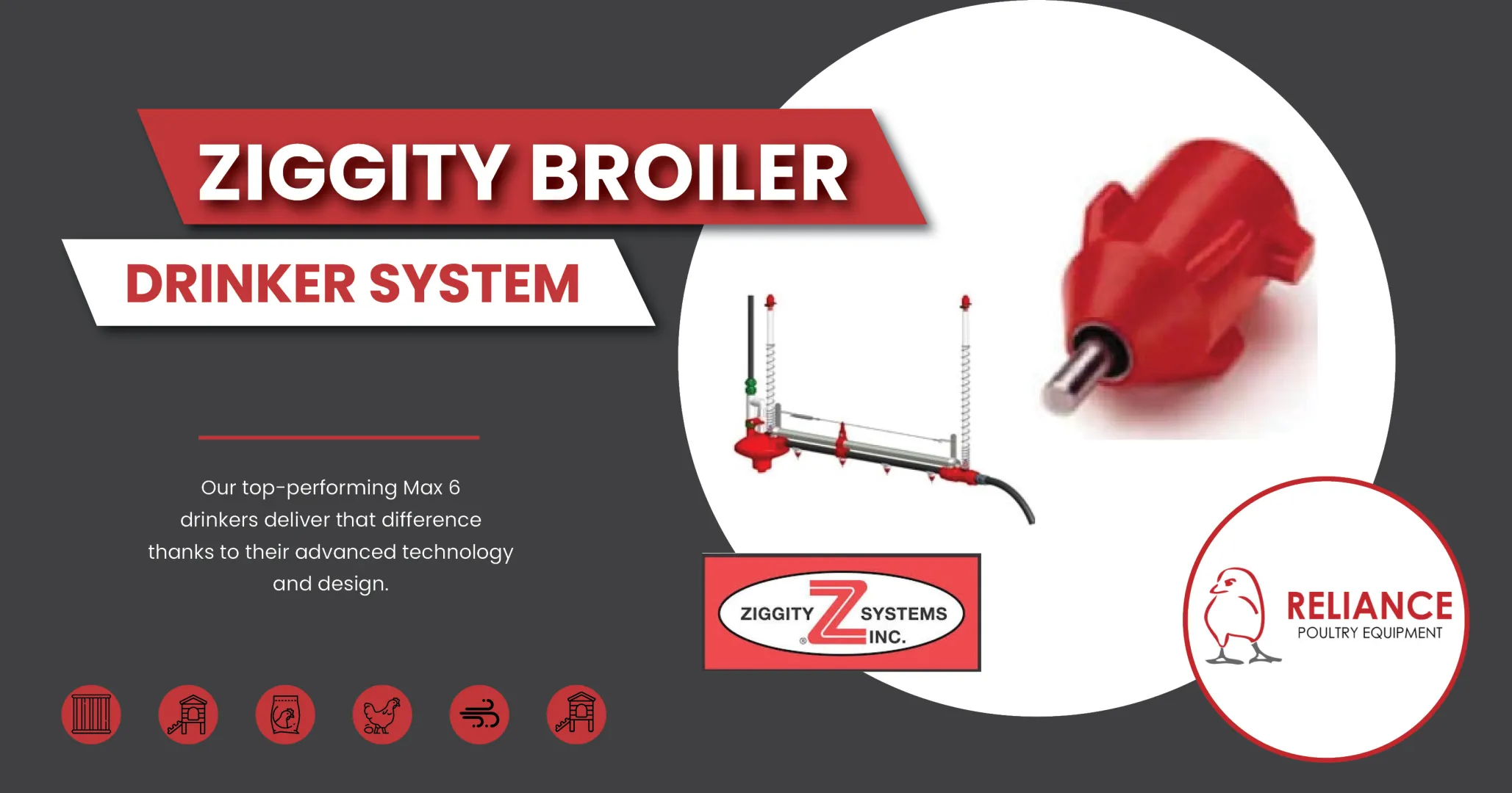 Ziggity broiler drinking system | Reliance Poultry Equipment
