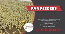 Pan Feeders | Reliance Poultry Equipment