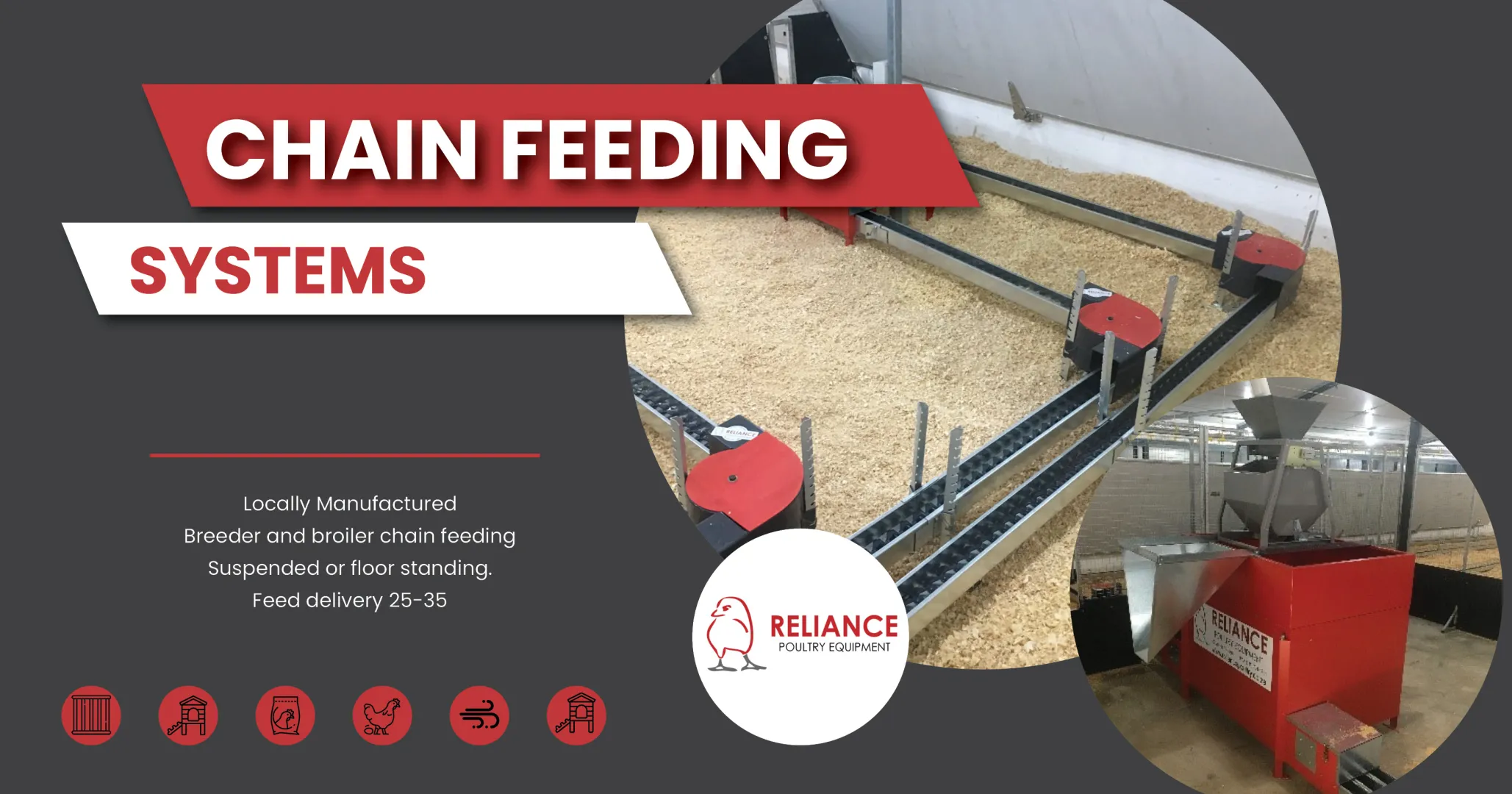 Chain feeding systems | Reliant poultry equipment