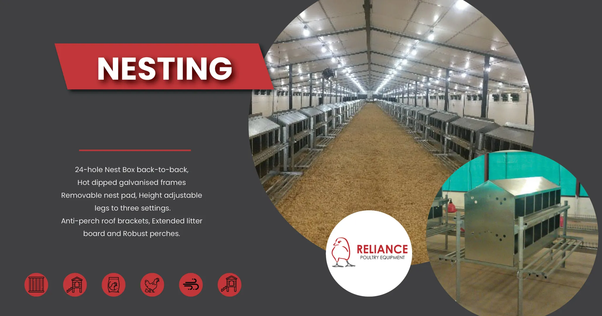 Nesting | Reliance Poultry Equipment
