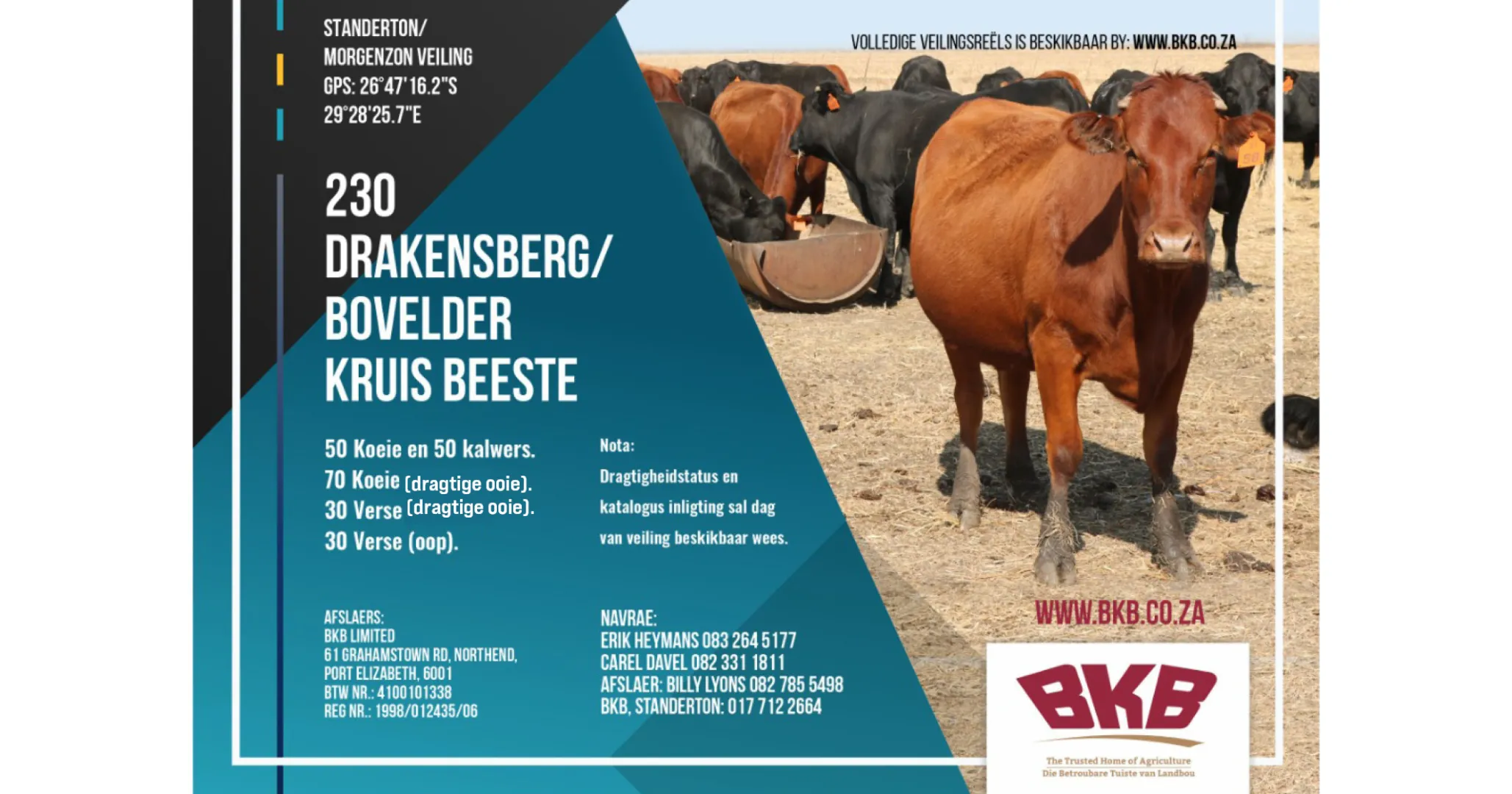 Publieke veiling van lewendehawe &amp; implemente! | 3 September 2024 | Standerton/Morgenzon