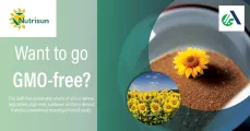 Want to go GMO-free? | Advanta Seeds
