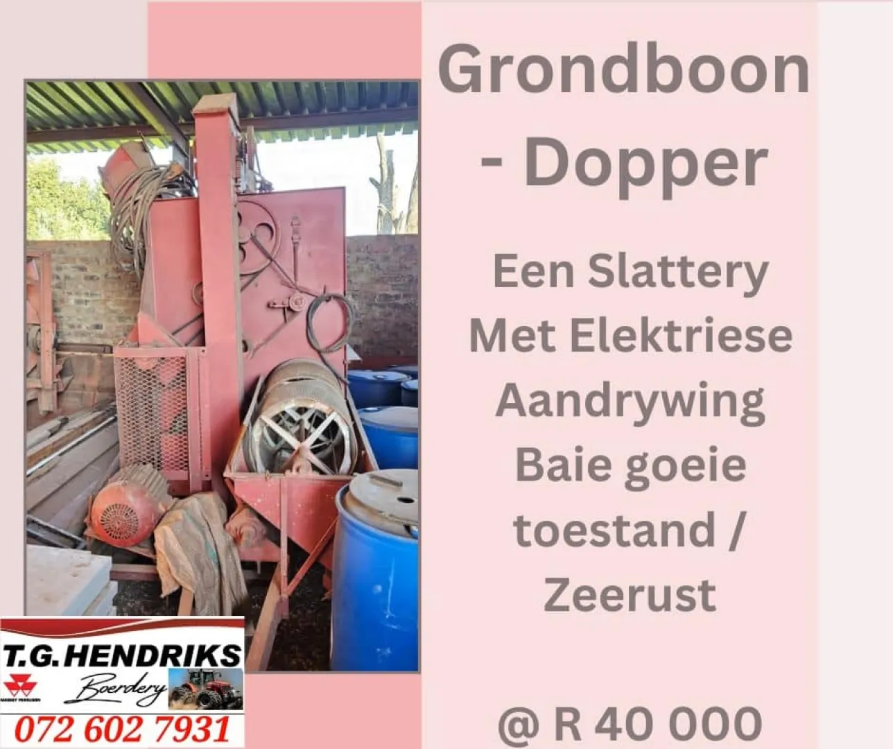 Grondboon dopper | T.G Hendriks boerdery