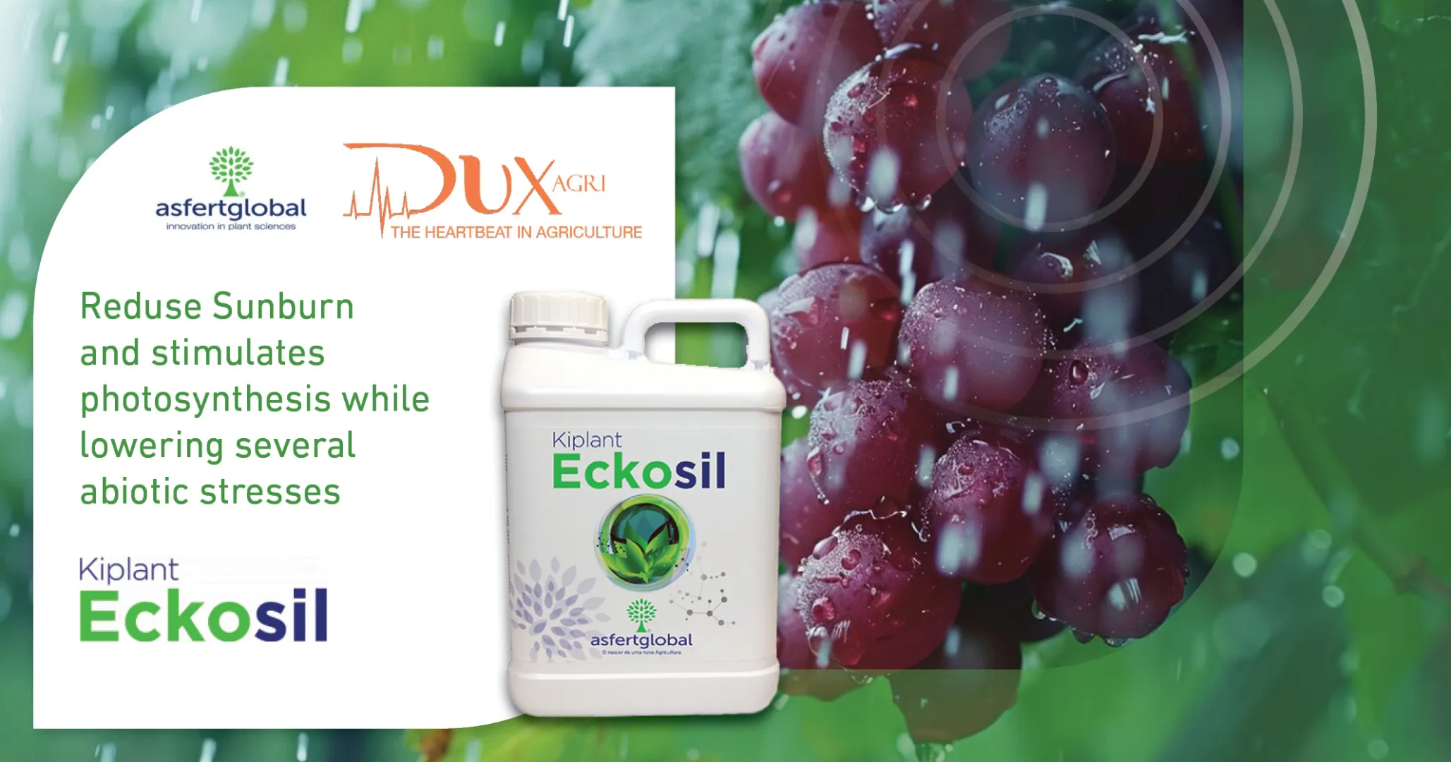 Eckosil | DuxAgri