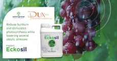 Eckosil | DuxAgri