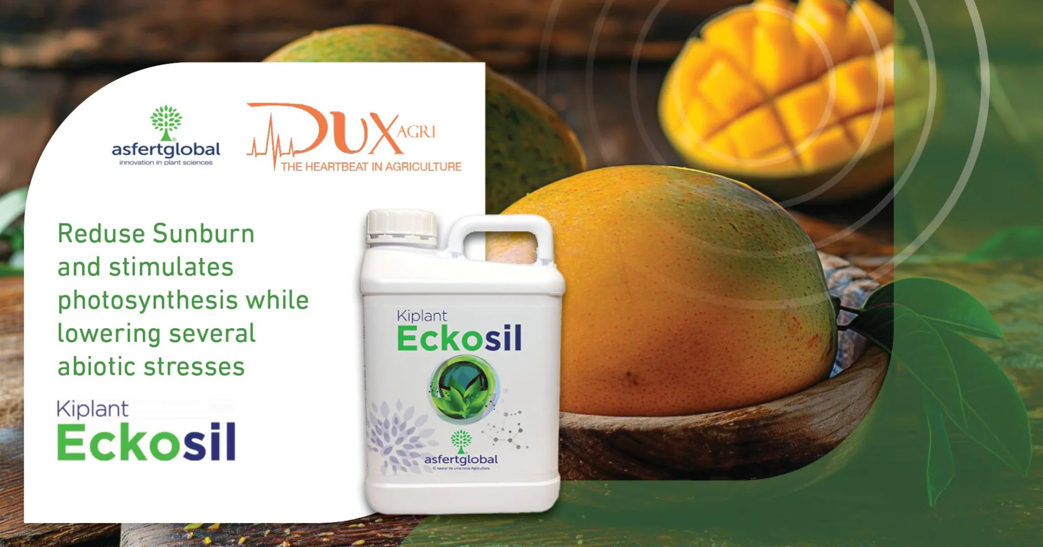 Eckosil | DuxAgri