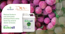 Eckosil | DuxAgri