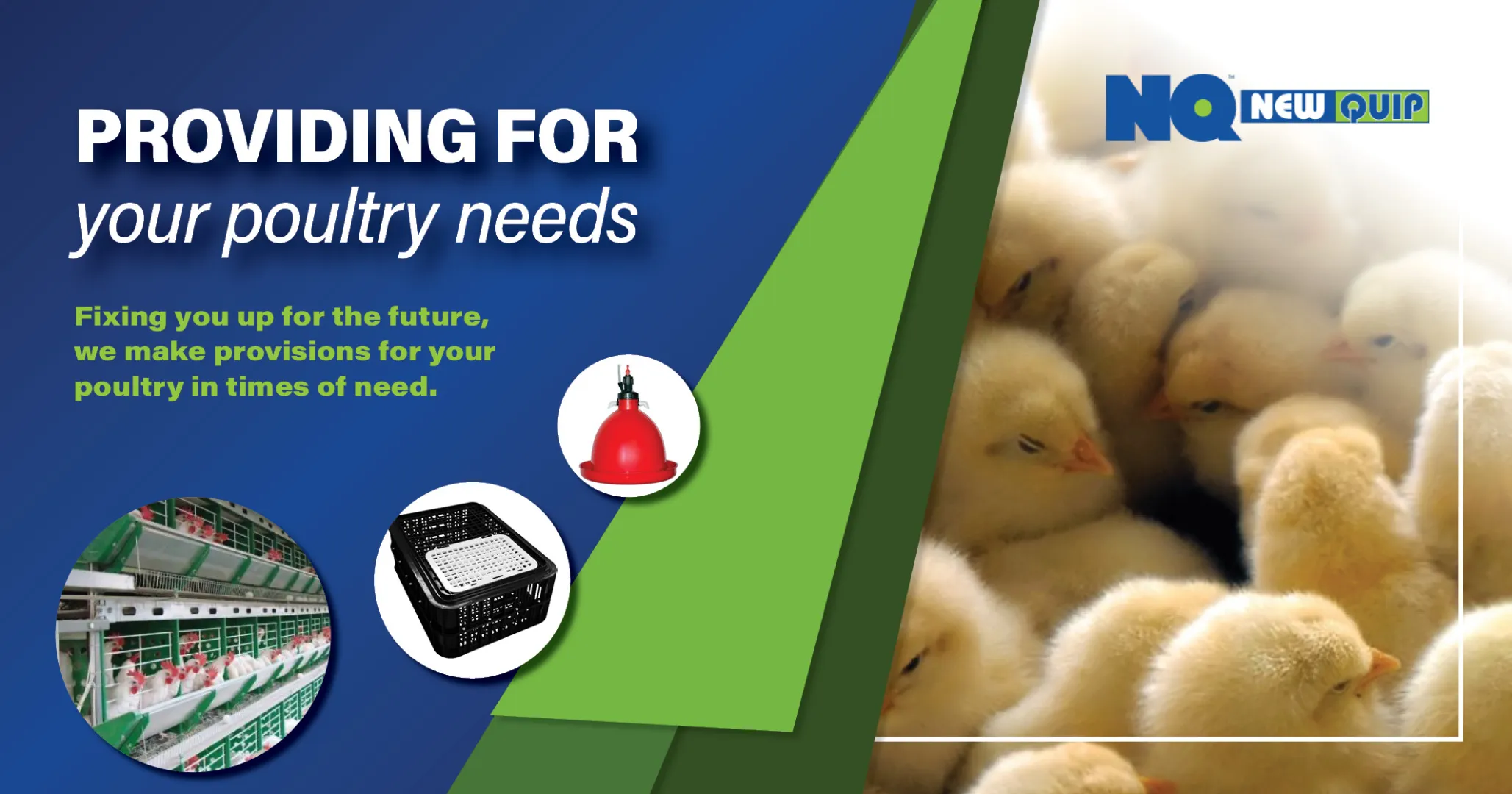 Providing for your poultry needs | New Quip