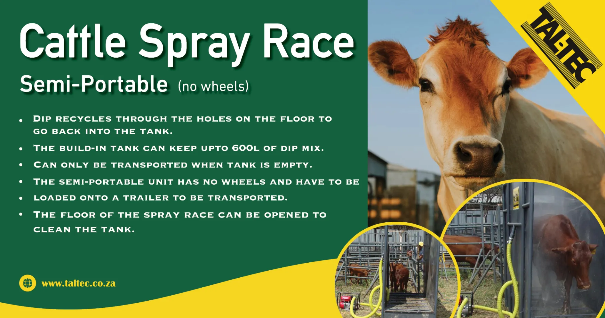 Cattle spray race | Semi-portable (no wheels) | Tal-Tec