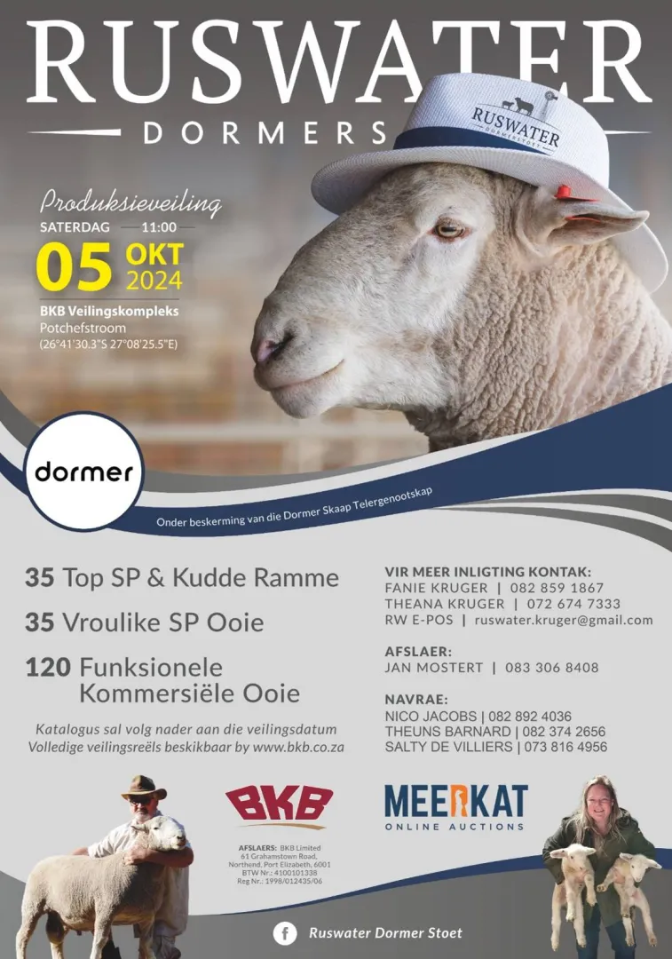 5 Oct 2024 - Ruswater Dormers 6th Production Auction