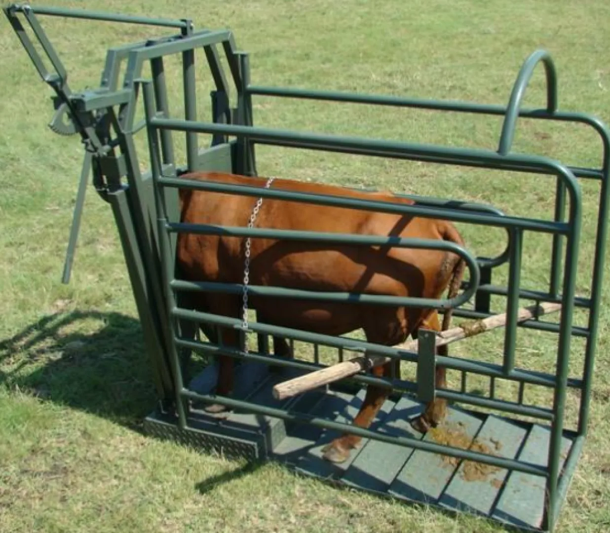 Vet Clamp | Tal-Tec