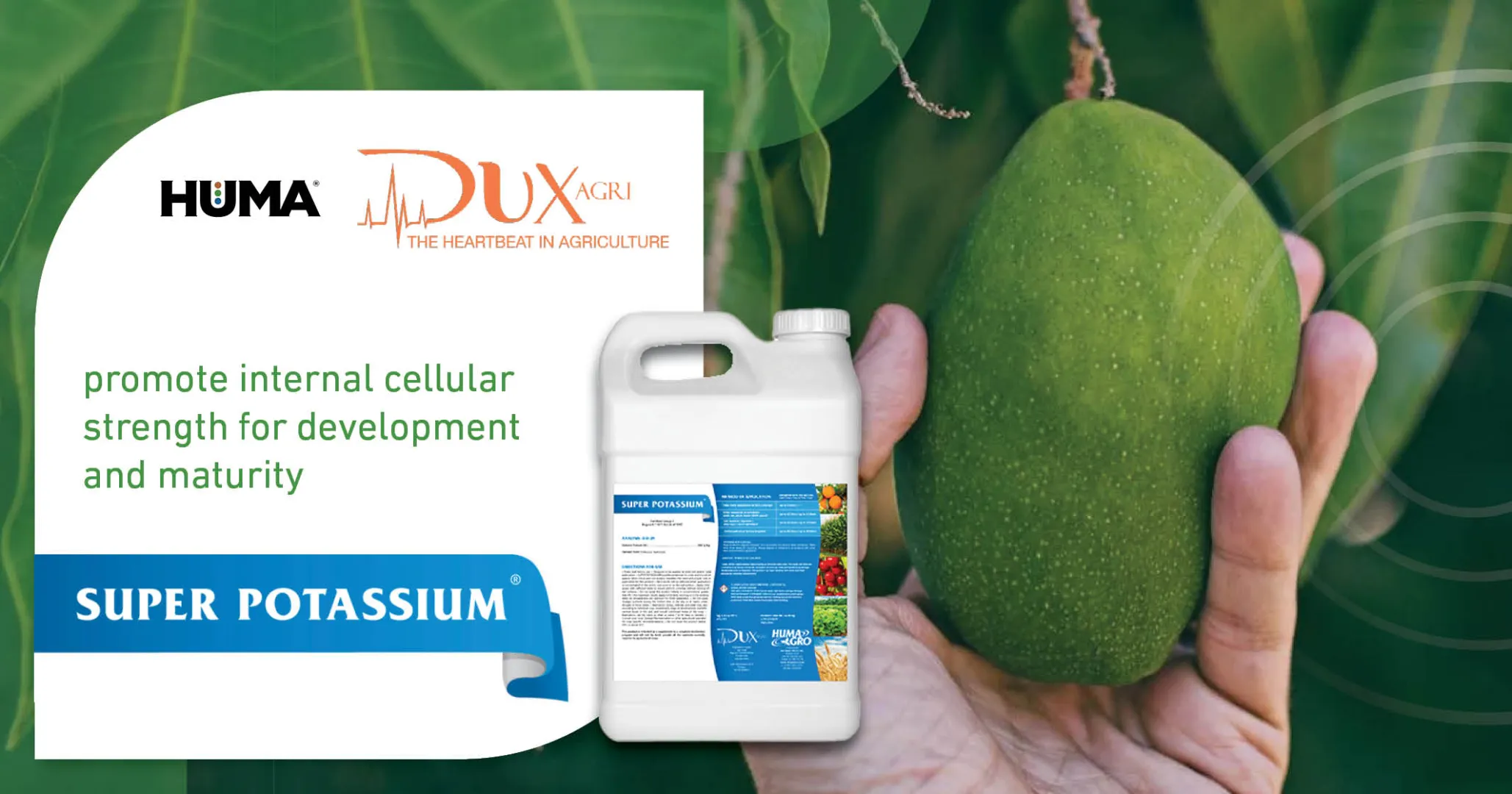 Super Potassium® | DuxAgri