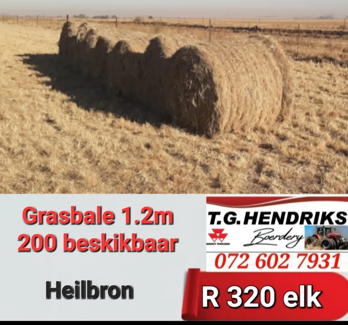 200 x Grasbale 1.2 m | T.G Hendriks boerdery