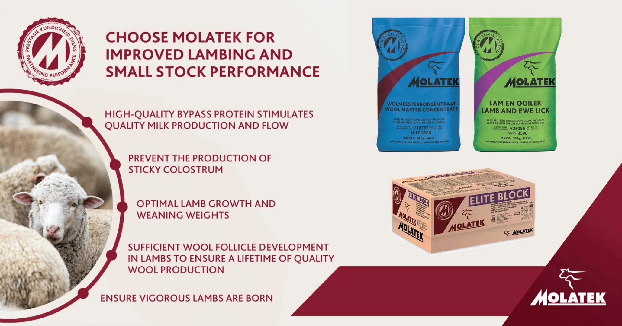 Choose Molatek for improved lambing and small stock performance | Molatek