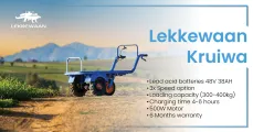 Lekkewaan Kruiwa