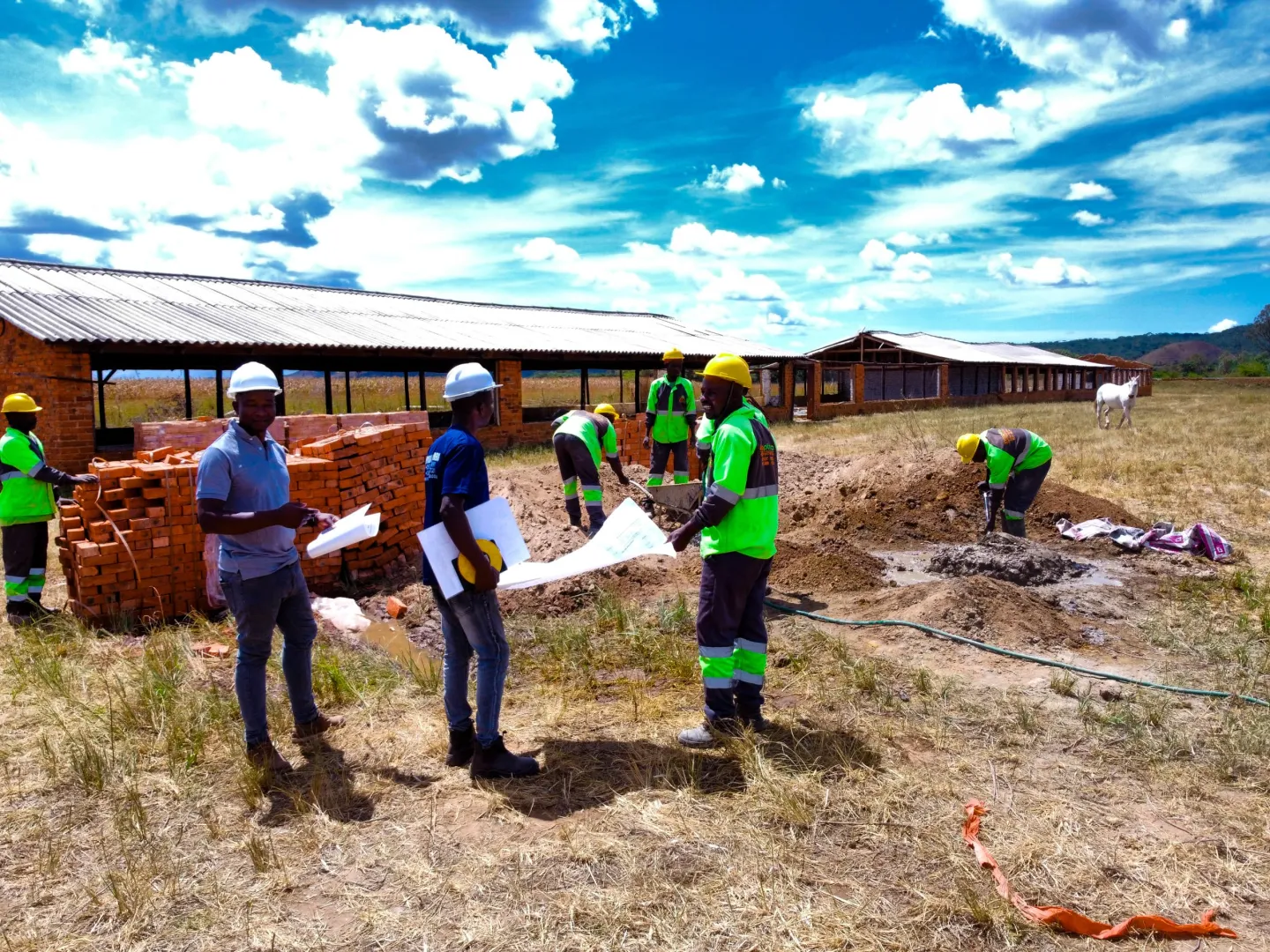 Top Poultry Equipment Supplier in Zimbabwe