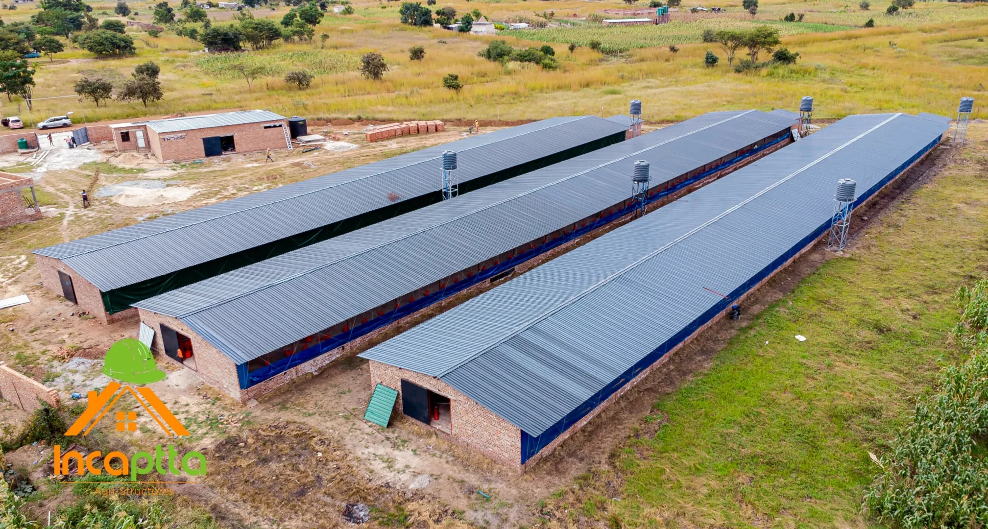Top Poultry Equipment Supplier in Zimbabwe