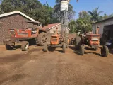 Fiat Tractors for sale | Agrimar