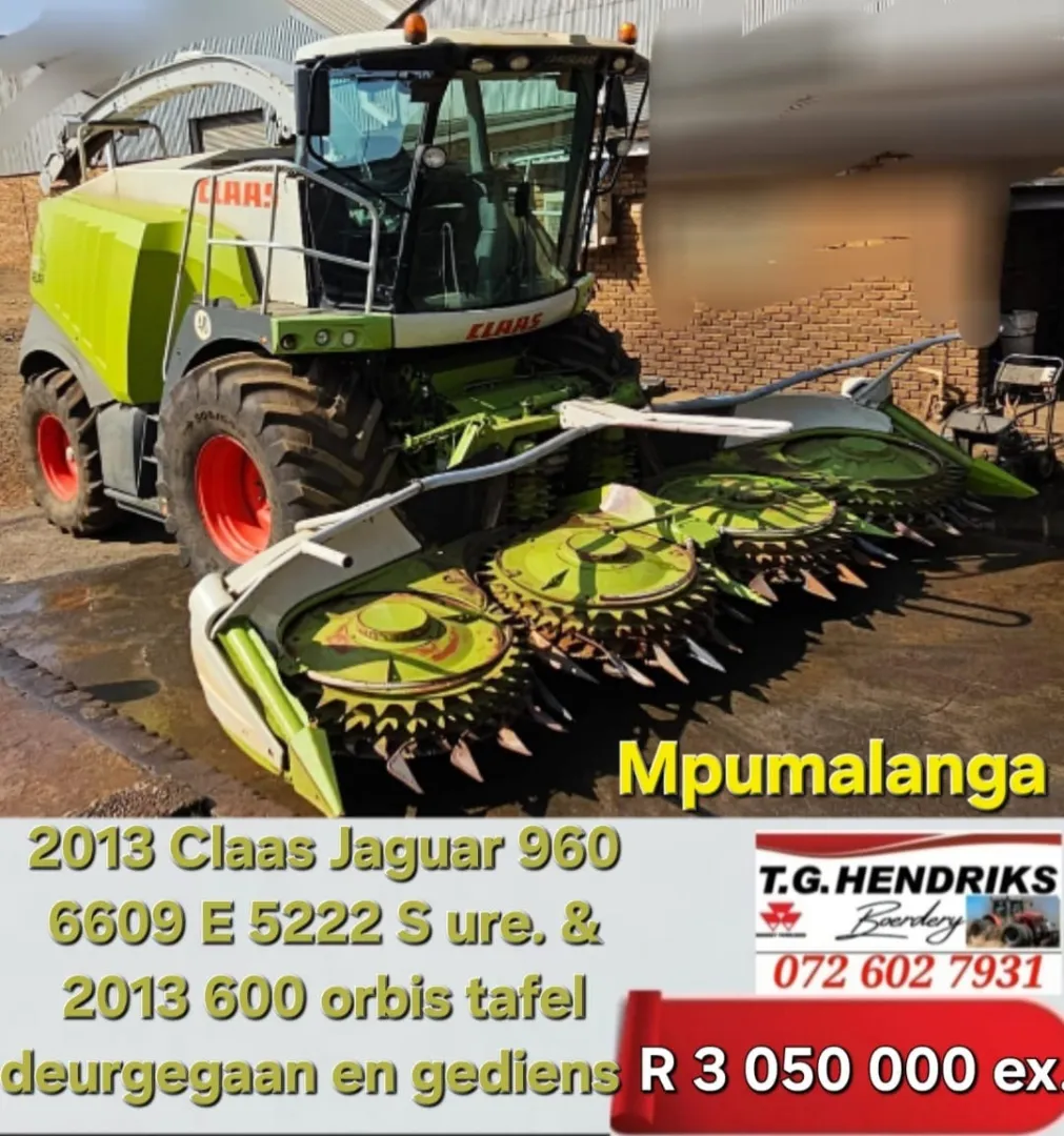 2013 Claas Jaguar 960 | T.G Hendriks boerdery