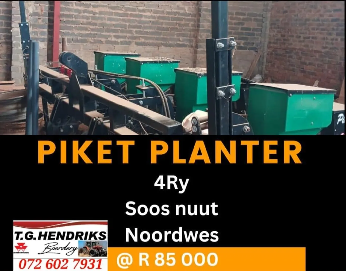 Pikket planter 4ry | T.G. Hendriks Boerdery