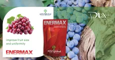 Enermax | DuxAgri
