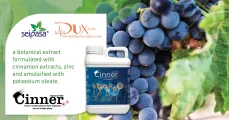 Cinner | DuxAgri