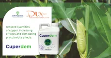 Cuperdem | DuxAgri