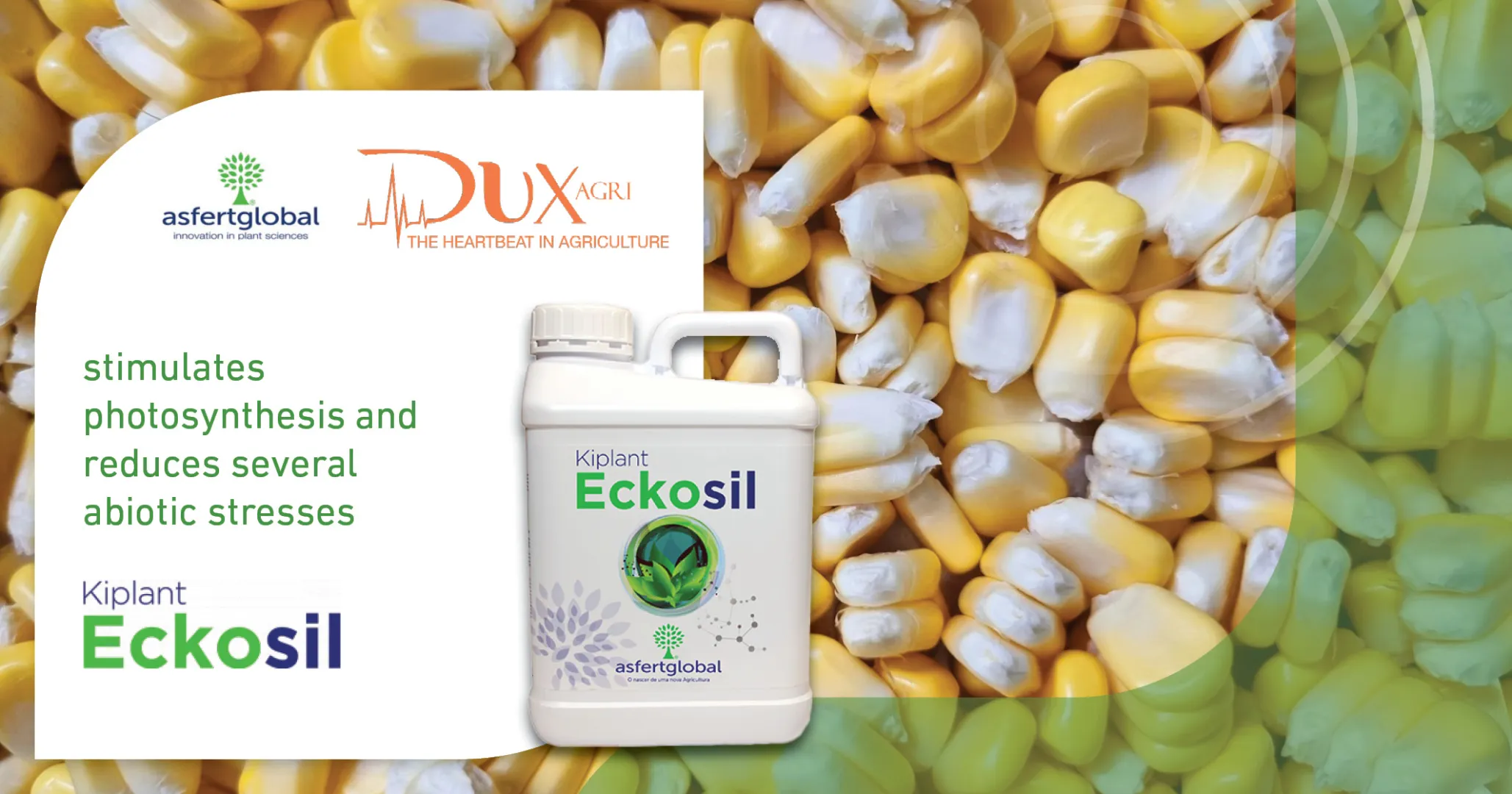 Eckosil | DuxAgri