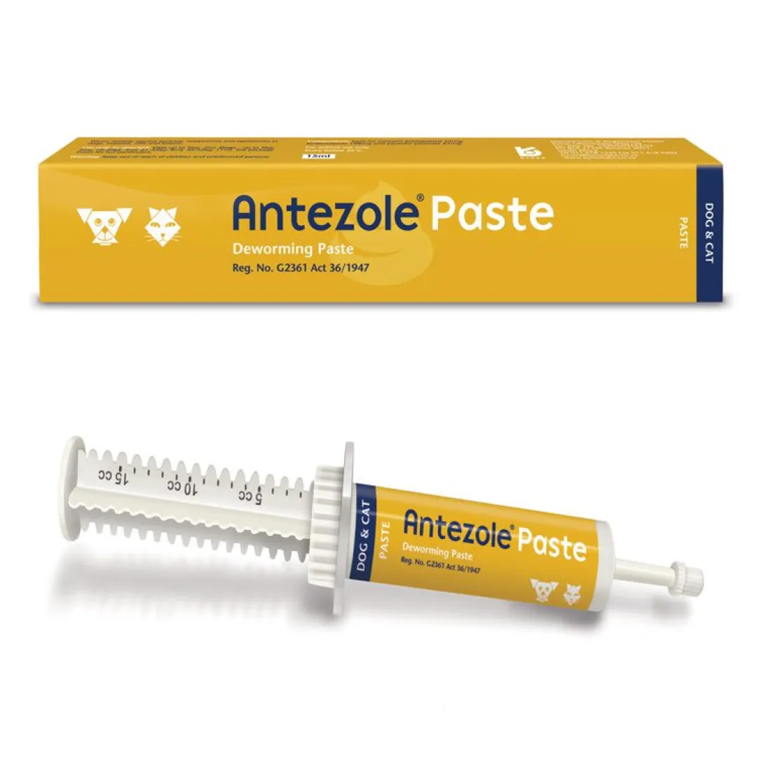 Antezole paste 30 ml | ANB Vet