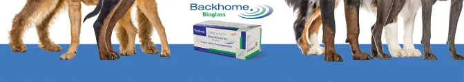 Backhome microchip 10’s | ANB Vet