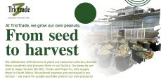 Collaborate with us from seed to havest | Triotrade