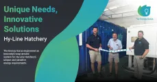 Unique needs, innovative solutions | The Energy Gurus