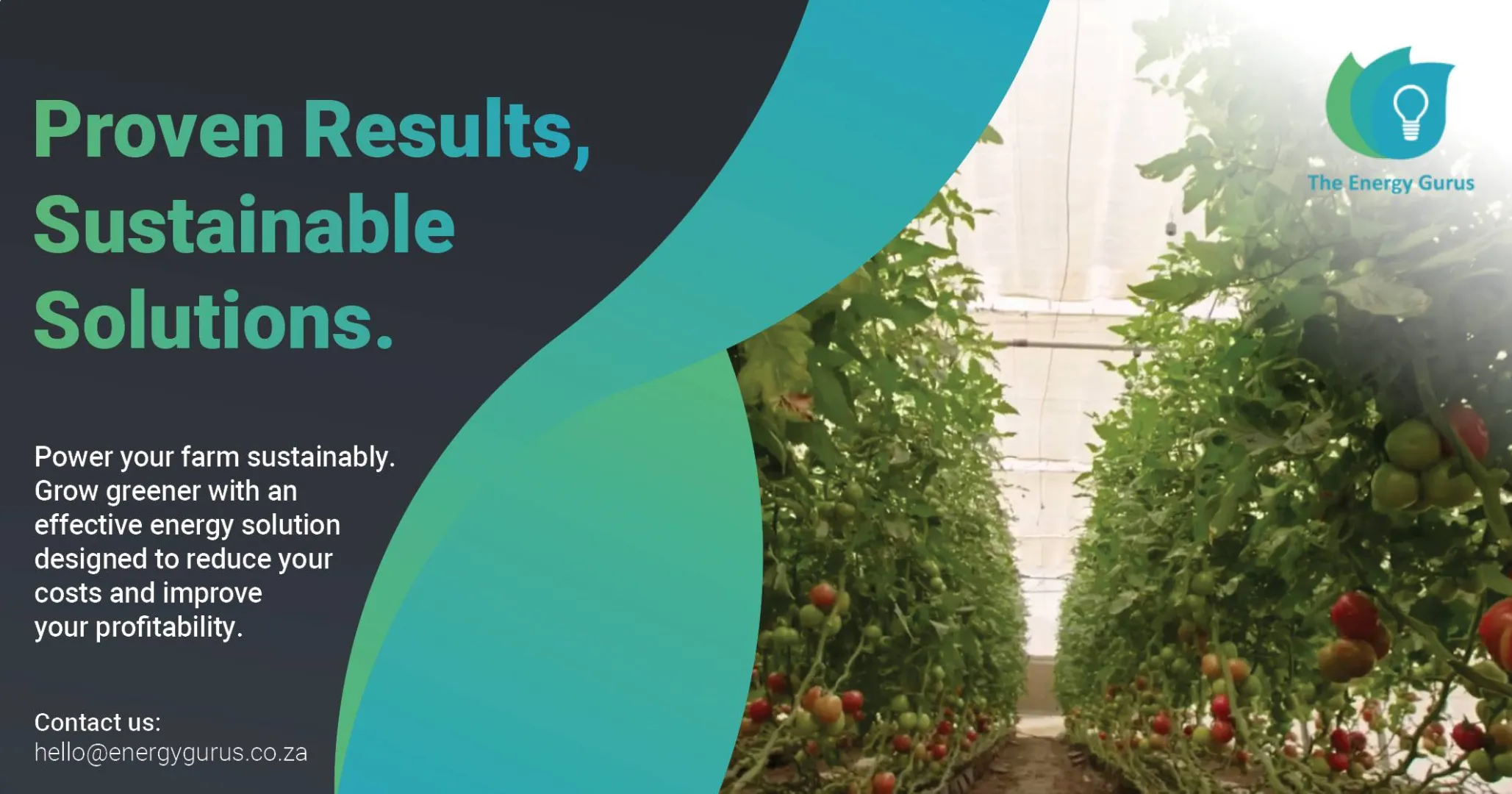 Proven results, sustainable solutions | The Energy Gurus