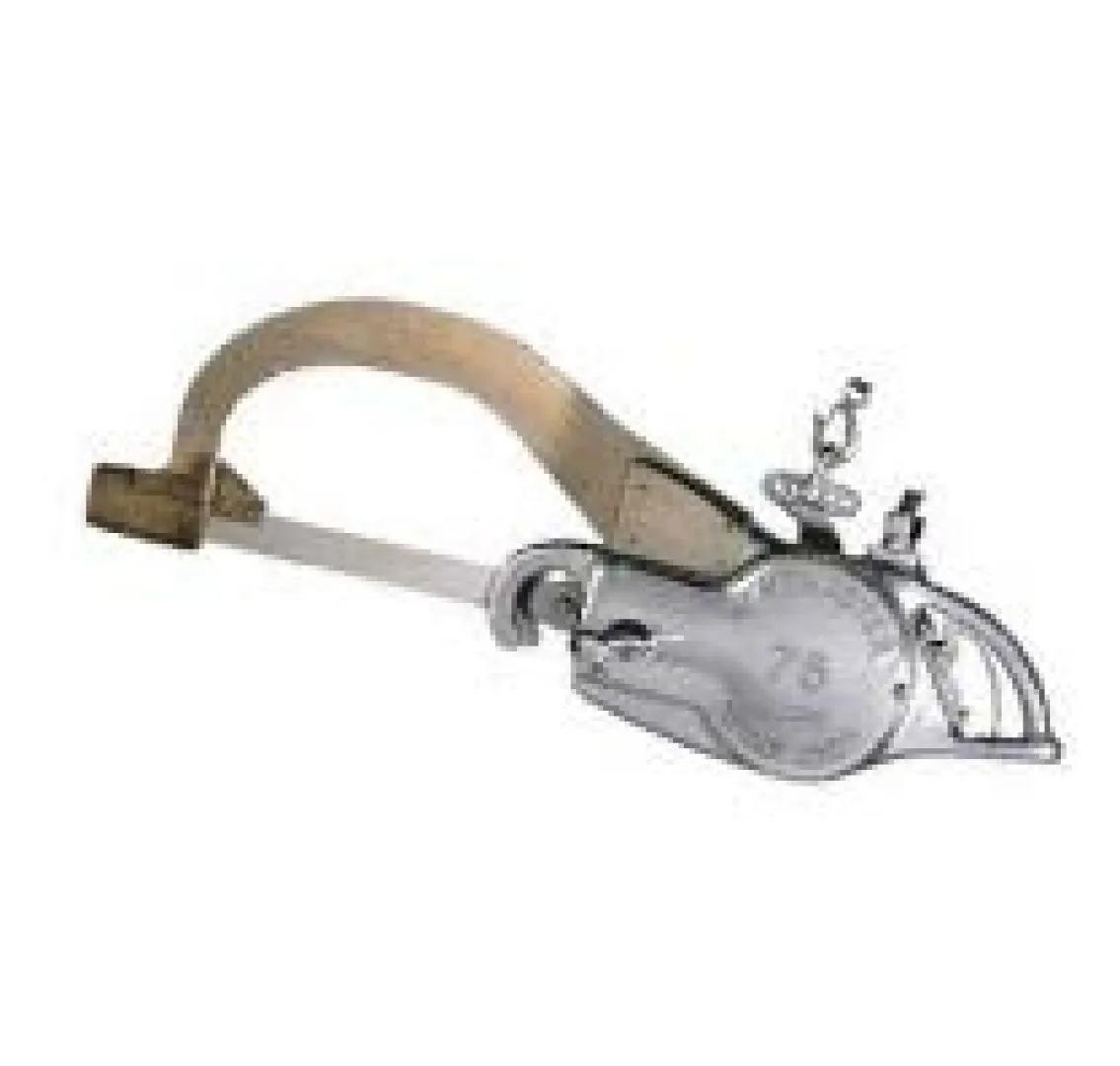 Electric Beef Splitting Saw | Kentmaster