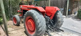 Massey fergusson 165
