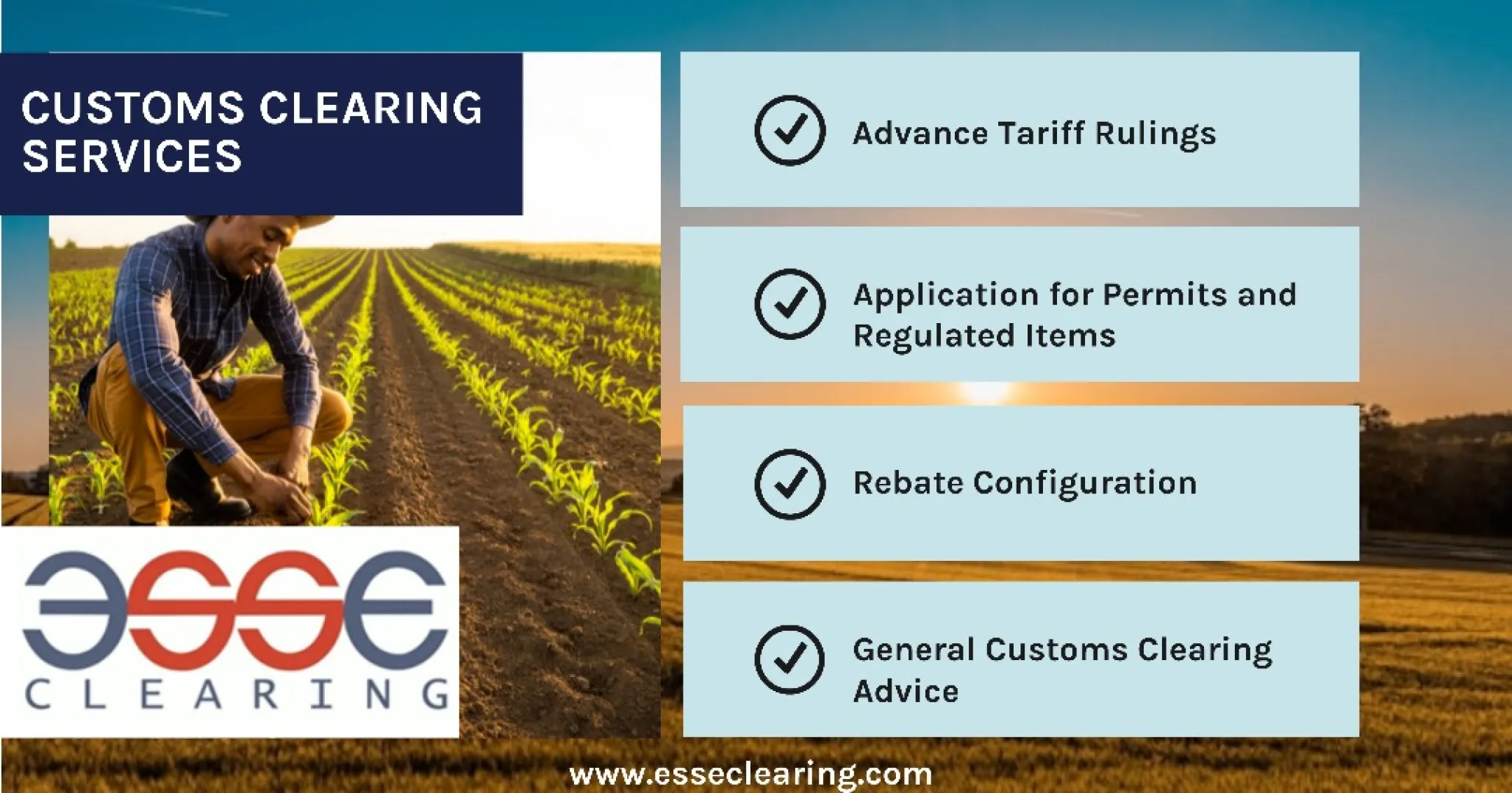 Customs clearing services | ESSE Clearing