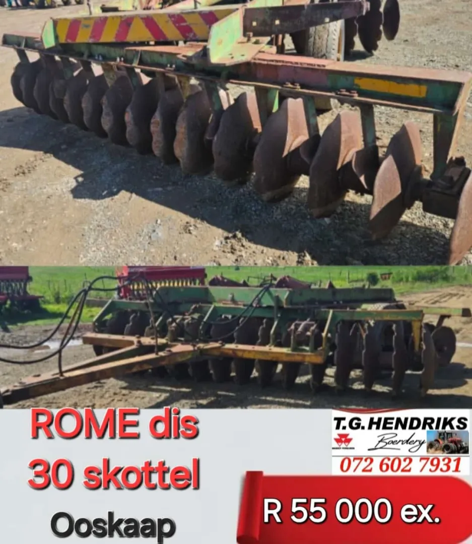 Rome dis 30-skottel | T.G. Hendriks