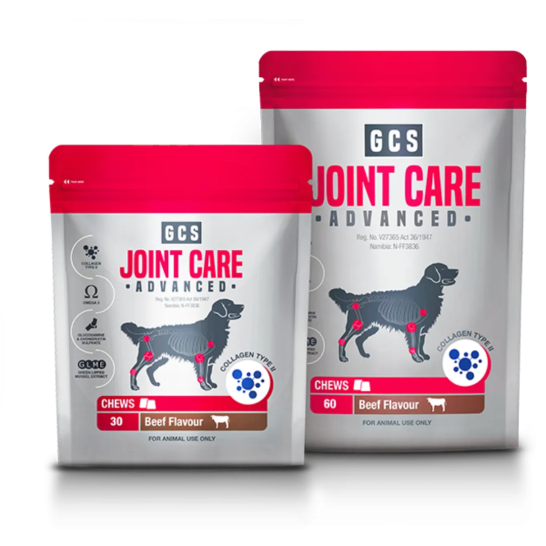 GCS Joint Care Adv Chews 60’s | ANB Vet
