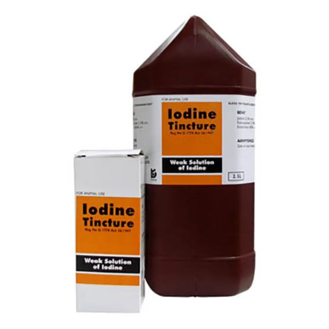 Iodine Tincture 2.5 L | ANB Vet