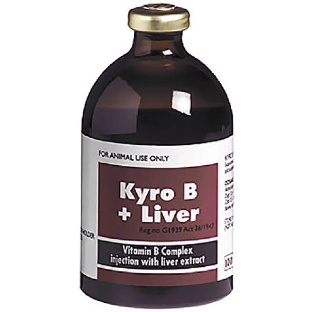Kyro B + Liver 100 ml | ANB Vet