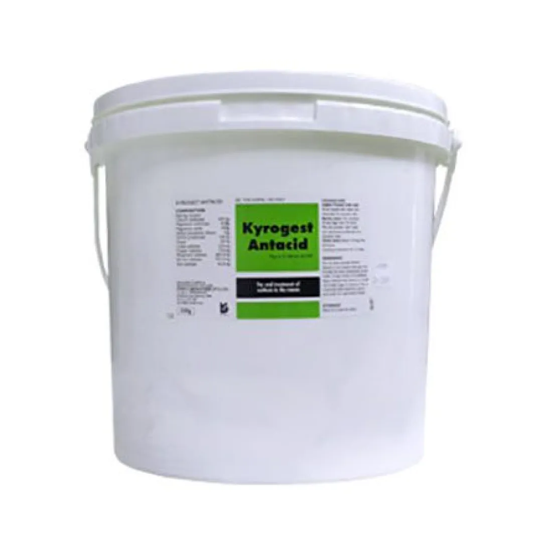 Kyrogest Antacid | ANB Vet